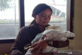 Camat ungsikan bidan desa pasca diancam diintimidasi hingga diusir dampak Pilkades