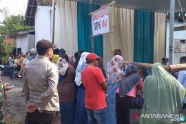 Partisipasi pemilih pilkades serentak di Jember capai 80 persen