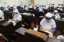 Festival Jember Kota Cerutu