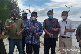 Hkm Seberang Bersatu buka donasi pelestarian mangrove dan koral
