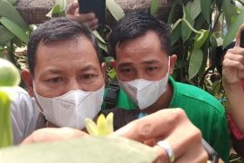 BUMDes binaan AMC tambah wawasan teknologi pertanian ke Klaten