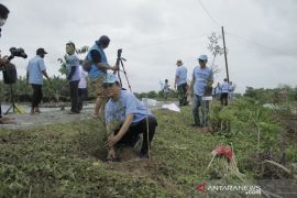 Partai Gelora tanam sejuta pohon di Sumut bantu penghijauan