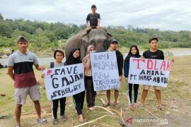 Komunitas Bengkulu aksi digital tolak tambang di Seblat