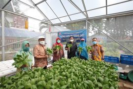 Pemkot Surabaya dorong pembentukan kelompok wanita tani di perkampungan