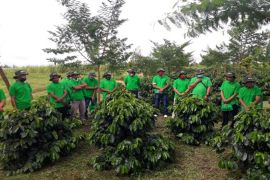 PT Toba Pulp Lestari  gelar "sekolah kopi" dukung usaha petani