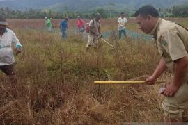 Jelang musim tanam padi, petani Muaratais Tapsel lakukan perburuan tikus