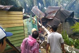 Sebuah rumah ambruk tertimpa pohon