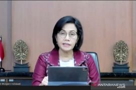 Indonesia has crucial climate role: finance minister