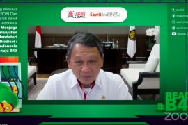 Arifin Tasrif sebut optimalisasi sumber energi alternatif untuk kurangi impor BBM