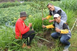 Yasmanda tanam 10.000 bibit pohon di lahan bekas tambang pasir Merapi