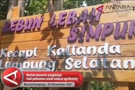 Manfaat ekonomis pengelolaan hasil perhutanan sosial melalui agroforestry