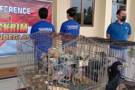 Polisi tangkap dua penjual satwa dilindungi via media sosial