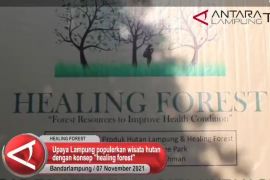 Lampung populerkan wisata hutan dengan konsep forest healing