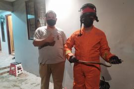 Ular sanca bermain di tumpukan selang