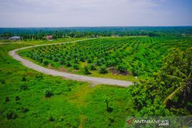 PTPN XIV-Petrokimia Gresik sosialisasikan program makmur BUMN