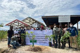 SKK Migas dan JOB Simenggaris tanam 1.100 bibit di Tana Lia