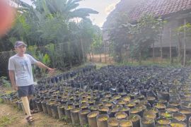 Menatap masa depan tanpa putus asa