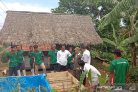 Kadisnaker Lebak tinjau pelatihan budidaya ikan koi