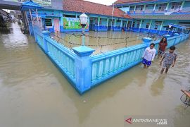Banjir rob pantura Indramayu