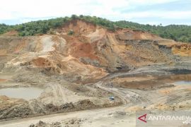 Genesis Bengkulu desak perusahaan reklamasi lubang tambang