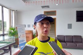 Disnak Mimika: Persediaan daging cukup hadapi Natal-Tahun Baru