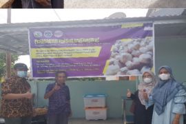 PKM Unand, Meningkatkan Produksi Kerupuk Khas Minang Lewat Perbaikan Tata Ruang Produksi