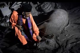 Dampak letusan Gunung Semeru