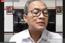 Badan Geologi rekomendasikan 28 wilayah kerja tambang