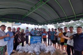 NNB Sayurmatinggi tabur ikan ke irigasi lubuk larangan sepanjang 500 meter