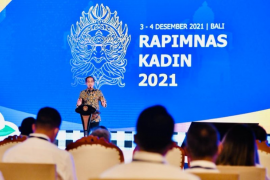 DEN mendukung dunia usaha detailkan transisi energi dalam forum G20