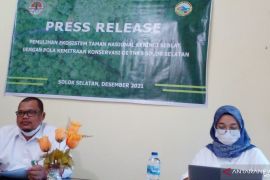 SPTN Kerinci Seblat wilayah IV pulihkan ekosistem seluas 274,25 hektare