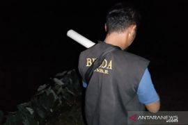 Harimau dekati permukiman warga Agam, BKSDA tingkatkan penghalauan