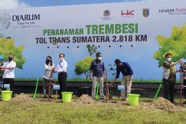 Djarum targetkan tanam 15.000 trembesi di JTTS kurangi emisi karbon