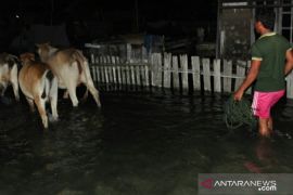Pemkab Parimo  imbau warga pesisir tingkatkan kewaspadaan banjir rob