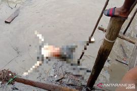 Ini penjelasan polisi Meranti terkait penemuan mayat terapung di pantai