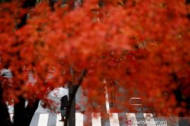 Jepang perpanjang larangan masuk bagi WNA hingga Februari