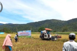 Pelatihan teknologi pascapanen mudahkan Petani Pasaman hingga produktivitas meningkat