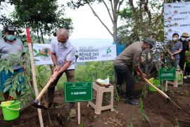 Komitmen melestarikan lingkungan, Adaro Tanam pohon di Bukit Menoreh