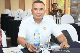 Legislator minta Pemkab Tanimbar bantu penyertaan modal BUMD Kalwedo