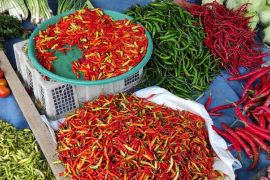 Harga cabai rawit di Jayapura mulai berangsur naik