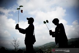 Target penanaman pohon di Jawa Barat