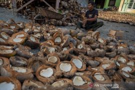 Petani Kembali Olah Kelapa Jadi Kopra Page 3 Small