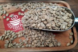 'Go global', mitra binaan kopi Sipirok Pertamina tembus pasar AS