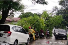 BMKG prakirakan Sumbar diguyur hujan lebat disertai petir dan angin kencang pada Rabu