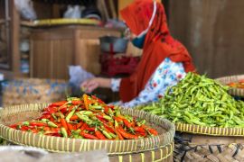 Musim hujan harga cabai rawit di Yogyakarta mencapai Rp75.000 per kg