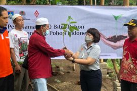 Tanam 500 bibit pohon, Aruna Senggigi peringati Hari Menanam Pohon se-Dunia