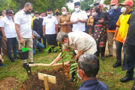 Gubri serahkan 10.300 pohon untuk masyarakat Inhu