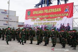 Pangdam XVII Cenderawasih lepas kepulangan tiga satgas pamtas TNI