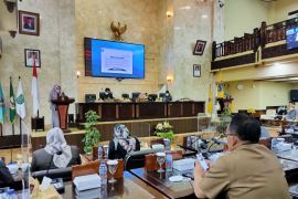 FPG sarankan Pemprov Kalsel geser perdagangan daerah komoditas industri