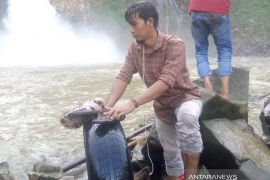 Warga temukan ban mobil dan sandal penumpang Innova di jurang air terjun